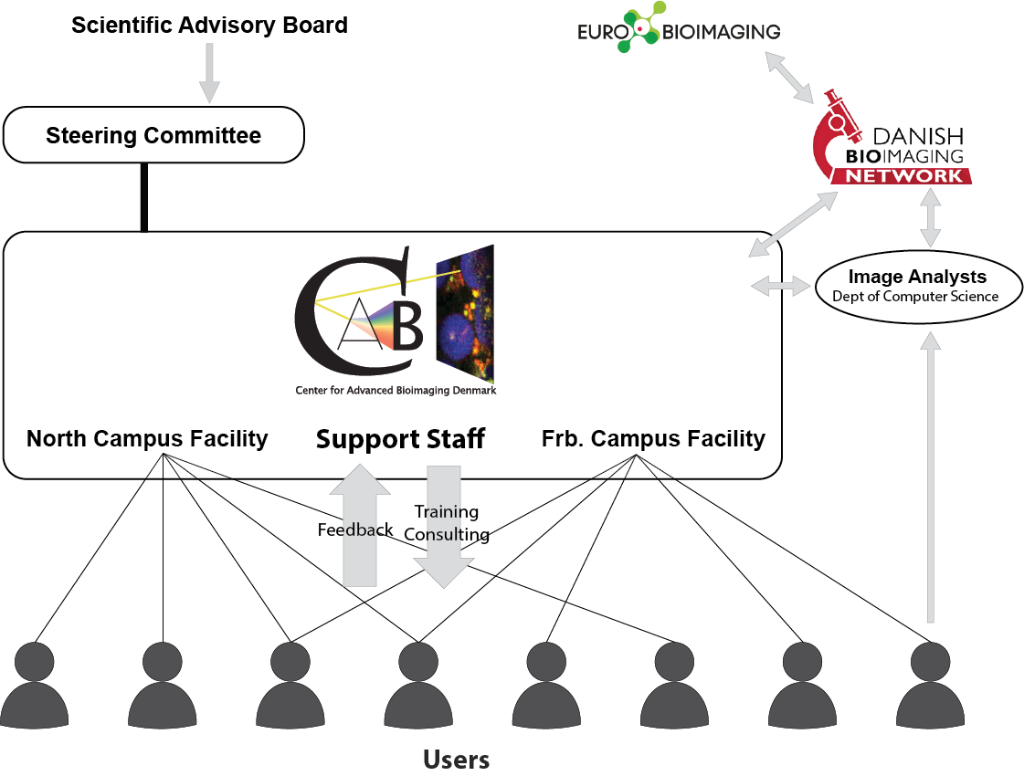 Diagram of CAB's organization